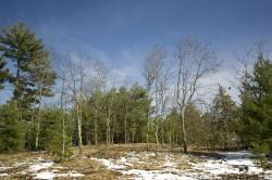 Land for Sale in Wisconsin Dells area