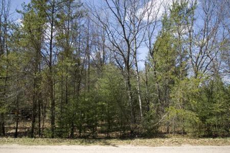 cabin on wooded lot in Adams County