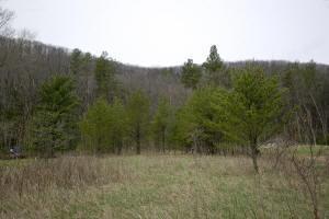 land for sale on Friendship mound