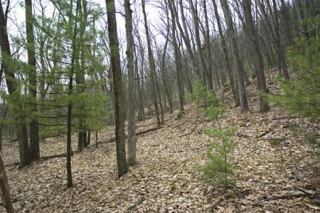 close to Roche-A-Cri State Park