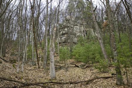 Beautifully wooded with hillside topography