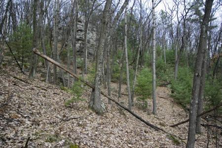 fully wooded Wisconsin land for sale