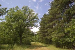 grand marsh wi 53936