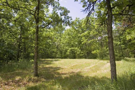wooded acreage central wisconsin