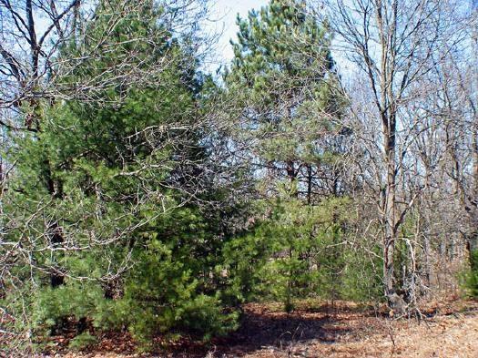 lot for sale
