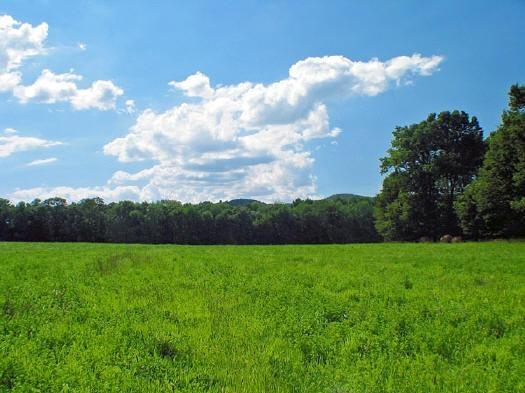 acreage for sale by Friendship Wisconsin