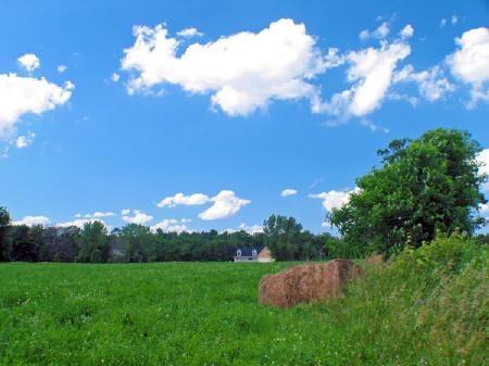 acreage for sale just outside of adams friendship