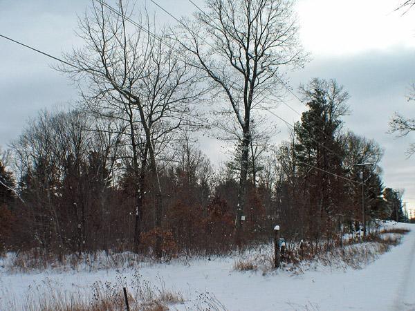 adams county