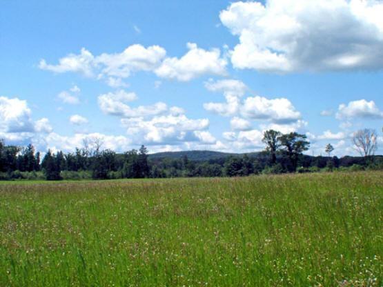 property close to lake and town