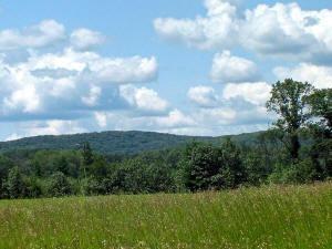 Acreage Near Friendship Lake
