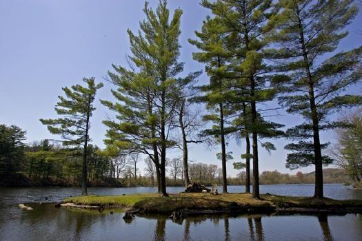lakefront