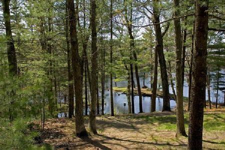 lakefront lot