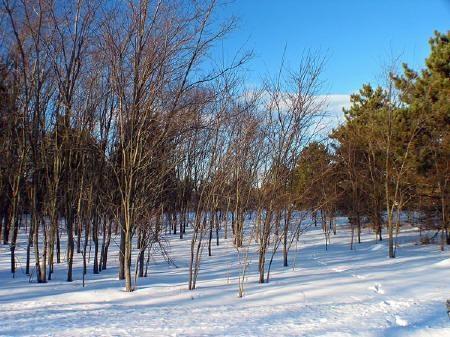 wisconsin dells