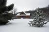 log home for sale