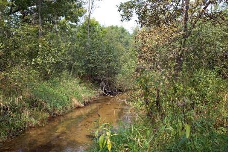 creek frontage