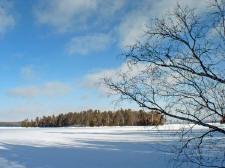 island for sale