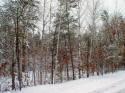 unimpoved land for sale in wisconsin