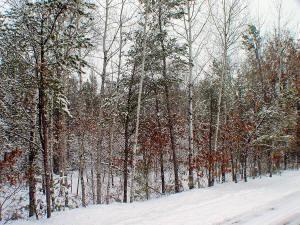 unimpoved land for sale in wisconsin
