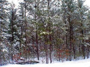 Base camp near public land for sale