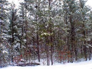 Recreational Base Camp for Sale in central  Wisconsin