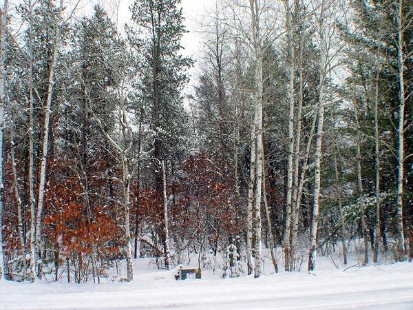 central wisconsin land for sale in adams county