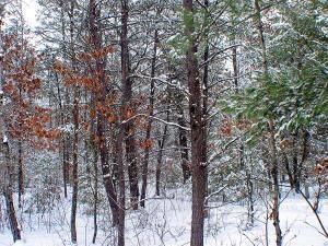 recreational base camp for sale