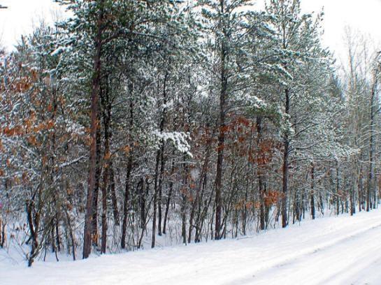 real estate for sale in big flats, adams county wi