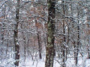 central wisconsin real estate for sale