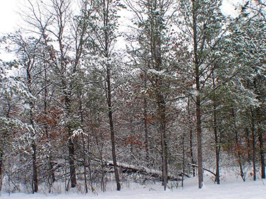 buy wisconsin land