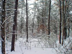 ATV Trail