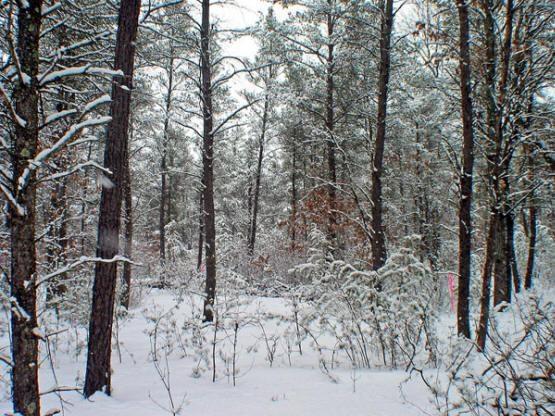 Wisconsin land for sale