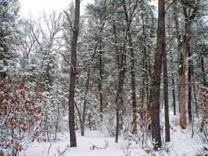 real estate in adams county wi