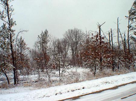 browndeer ave