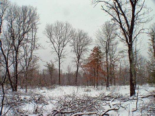 close to the lake,