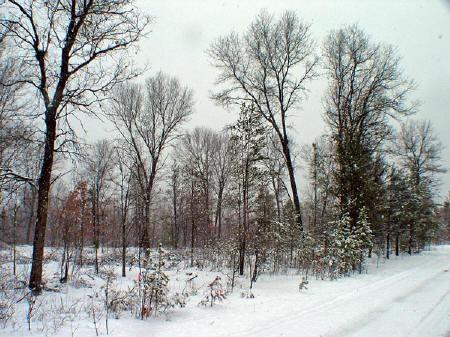 atv trails,