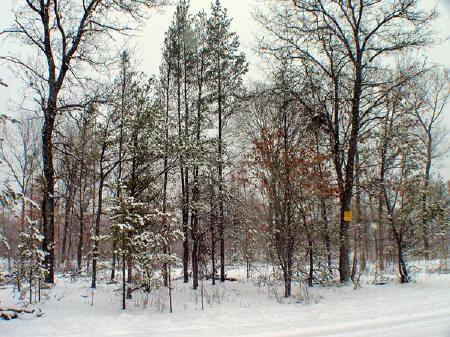 public land,