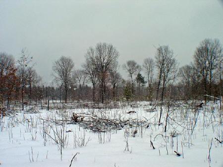 5acres