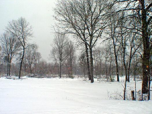 5 acres
