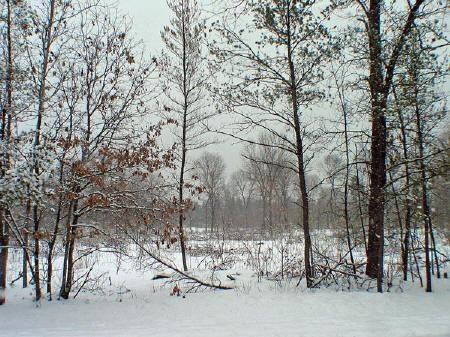 5 acres,