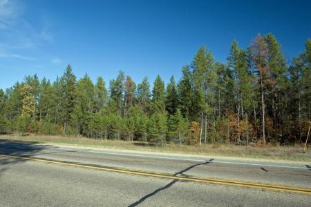 between Wisconsin Rapids and Wisconsin Dells
