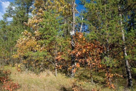 Premium Central Wisconsin Real Estate