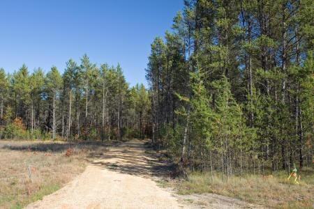 fully wooded