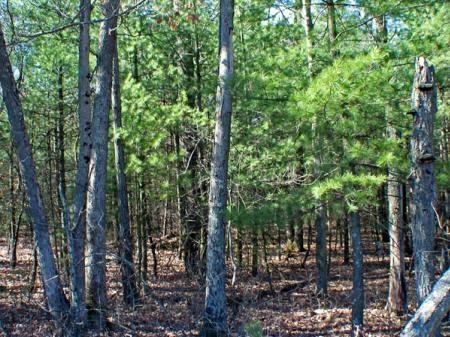 central wisconsin real estate for sale