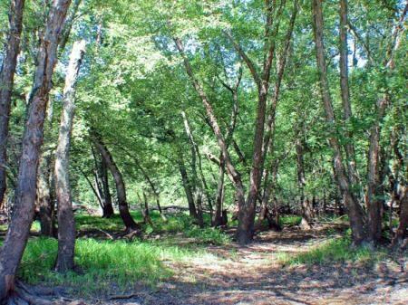 River front property in the Wisconsin Dells Area