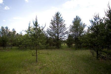 wooded parcel