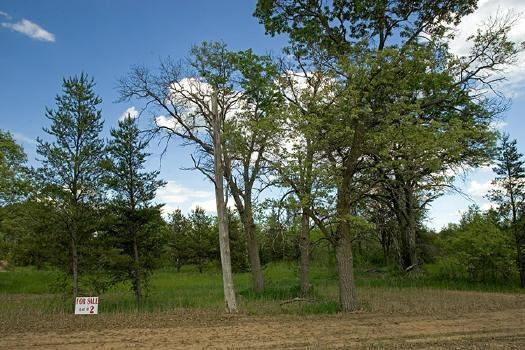 necedah, wi
