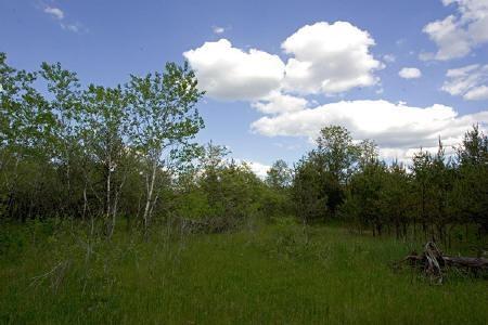 parkway estates