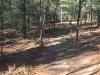 wooded acreage in central wisconsin