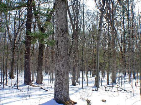 deeded access