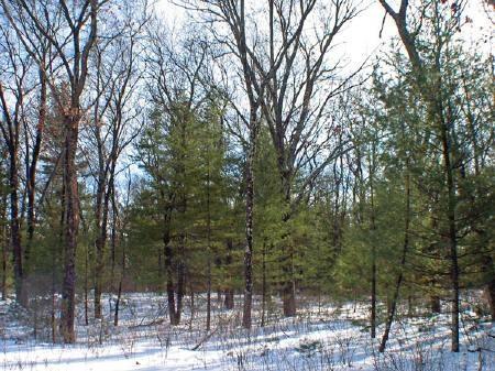 lake petenwell wisconsin